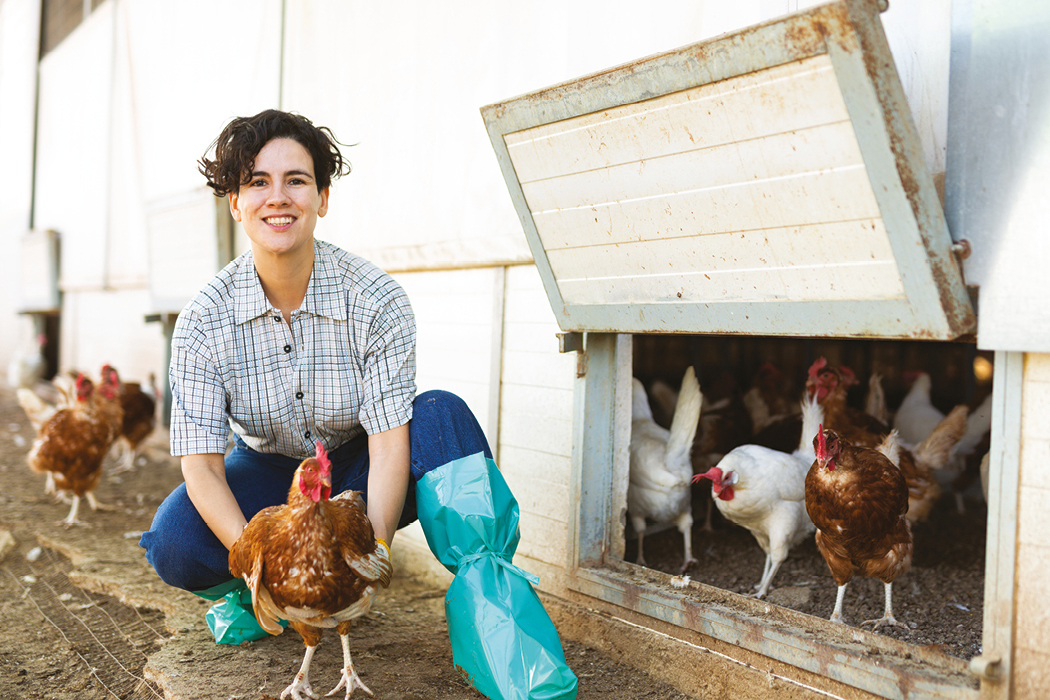 Female farmer holding a layer hen