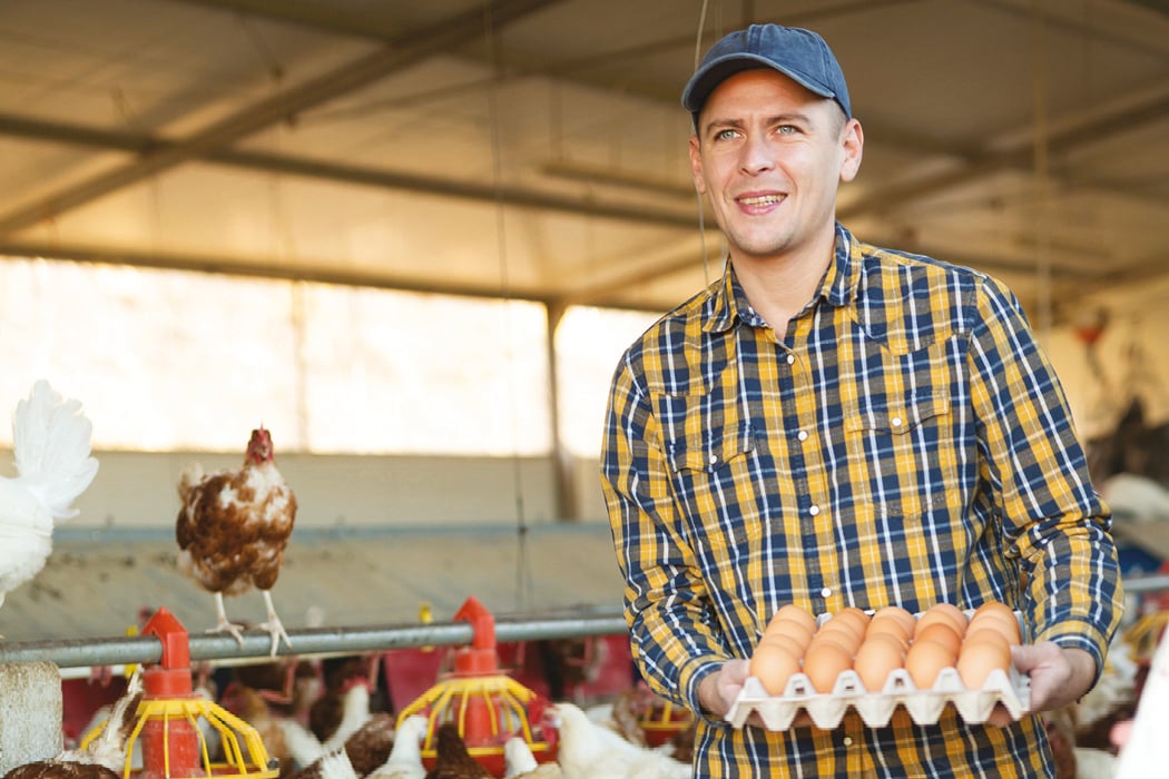 Farmer holding a tray of eggs with hens in the background